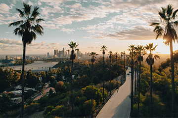 Palm trees at sunset in California